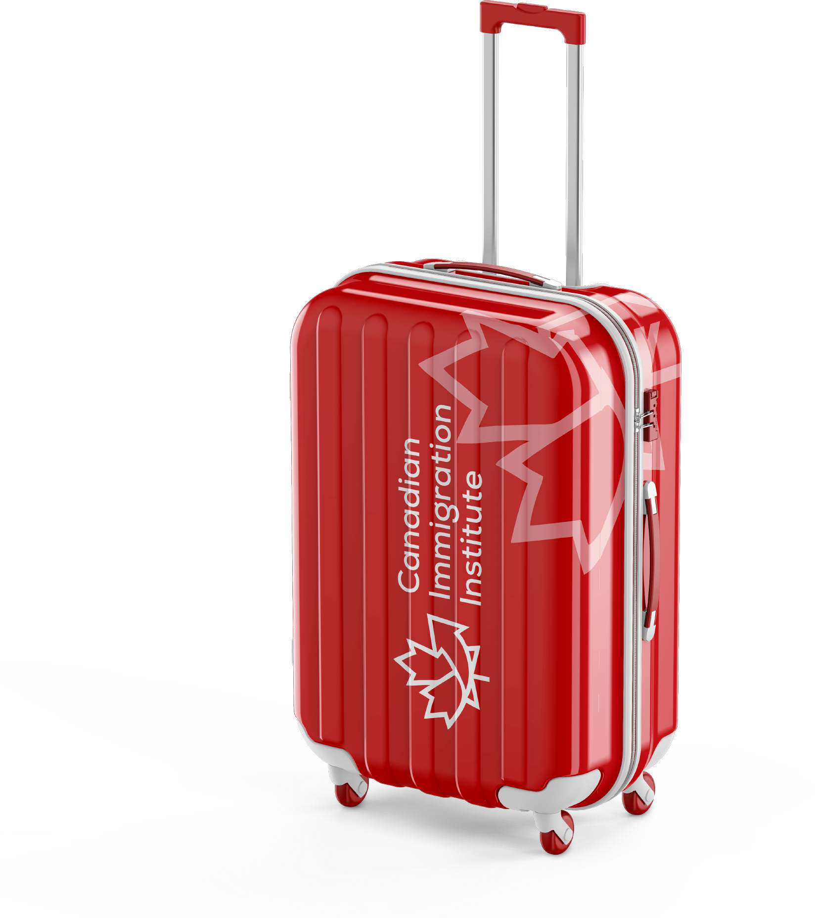 CANADIAN IMMIGRATION INSTITUTE